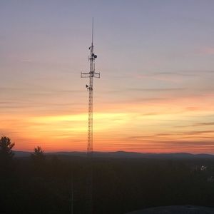 Meet your Posher, Bree